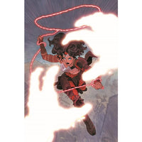 Absolute Wonder Woman #13