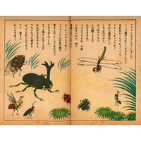 Anthropomorphic Japan: The Insects