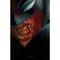 Batman Gargoyle of Gotham #2