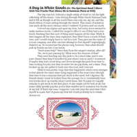 Collector #2: Wild West