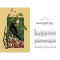 The Comfort of Crows: A Backyard Year