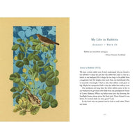 The Comfort of Crows: A Backyard Year