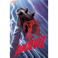 Daredevil #14 (2024)