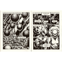 Dead Time Data #6: Fly