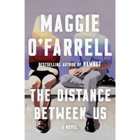 The Distance Between Us: A Novel