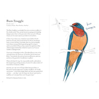 A Dumb Birds Field Guide to the Worst Birds Ever
