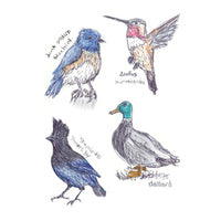 The Field Guide to Dumb Birds Sticker Book: 100+ Stickers of the Dumbest Birds