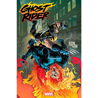 Ghost Rider #17