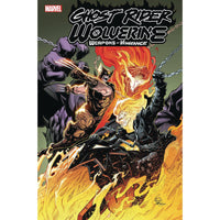 Ghost Rider / Wolverine: Weapons Of Vengeance Omega #1