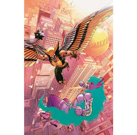 Hawkgirl #2