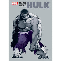 Jeph Loeb And Tim Sale: Hulk Gallery Edition