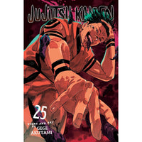 Jujutsu Kaisen Volume 25