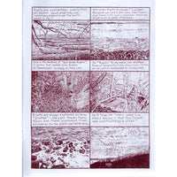 Looking For The Cat #5