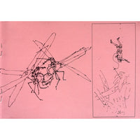 Odnal's Pral: Insect Riders Of The Pithy Membrane