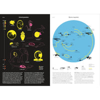 Phenomena: An Infographic Guide to Almost Everything