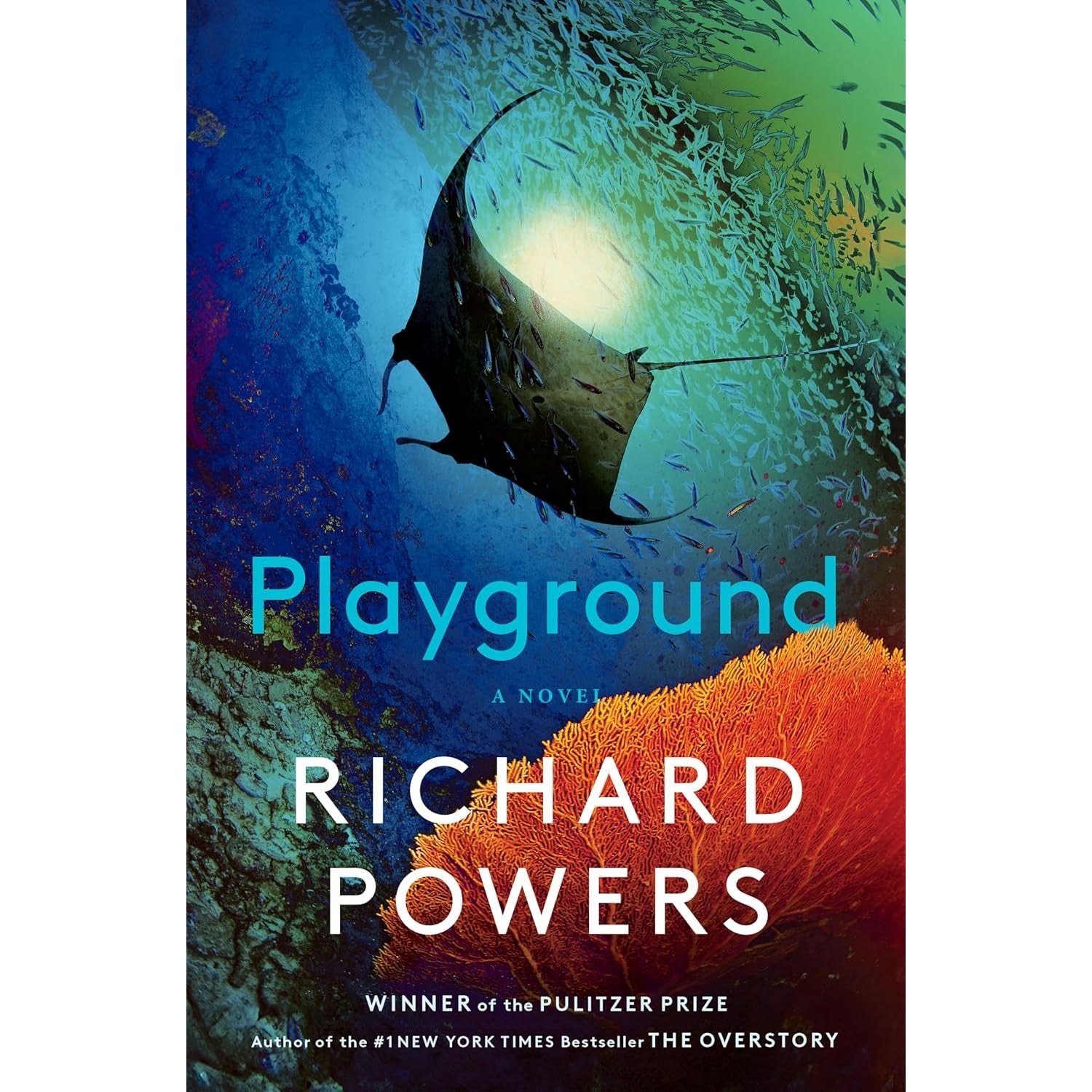Playground: A Novel – Atomic Books