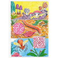 Š! #46: What's Next?