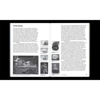 Shame! and Masculinity