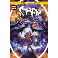 Storm #6