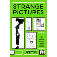 Strange Pictures: A Novel
