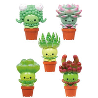 Succulent Friends Blindbox