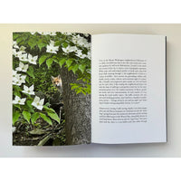 Summer of the White Fox, and After