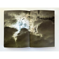 Summer of the White Fox, and After