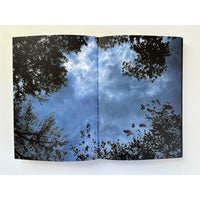 Summer of the White Fox, and After