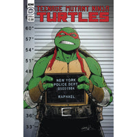 Teenage Mutant Ninja Turtles #141