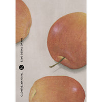 Tokyo These Days Volume 2