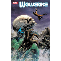 Wolverine #34