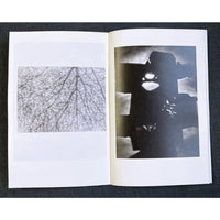 Untitled By Alexander Pinder