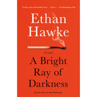 A Bright Ray of Darkness: A Novel