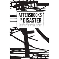 Aftershocks of Disaster