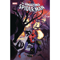 Amazing Spider-Man #47