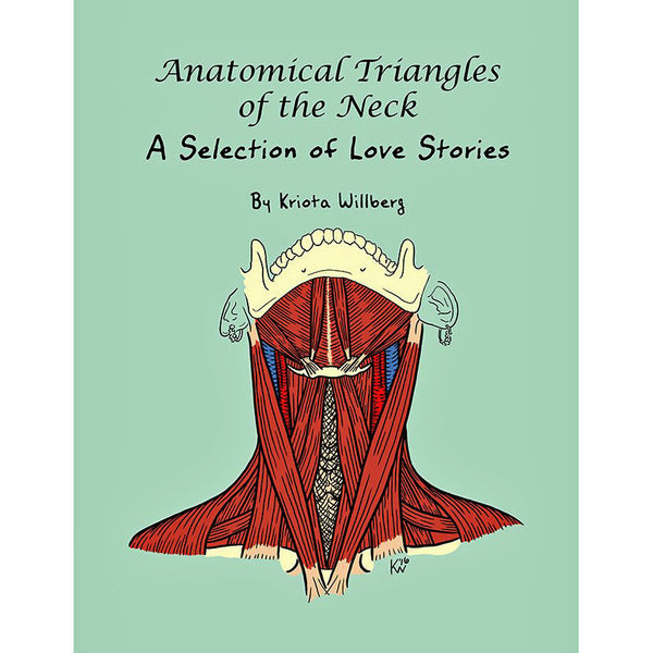 Anatomical Triangles Of The Neck