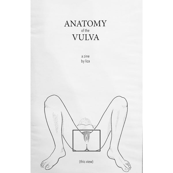 Anatomy Of The Vulva