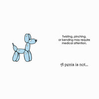 A Vagina Is Not... / A Penis Is Not ...