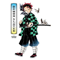 The Art Of Demon Slayer Kimetsu No Yaiba