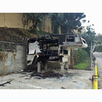 The Beautiful Flower Is The World