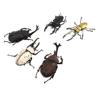 Beetle And Stag Beetle Hunter Blindbox Figure