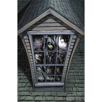 Black Hammer Visions #2 (cover c)