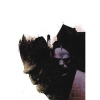 Black Hammer Visions #3 (cover c)