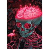 The Birdbrain Puzzle