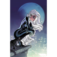 Black Cat Volume 3