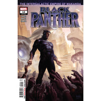 Black Panther #12 (cover a)