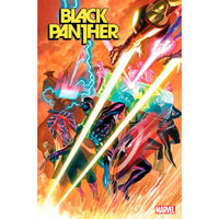 Black Panther #13 (2022)
