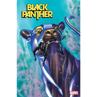 Black Panther #15 (2023)