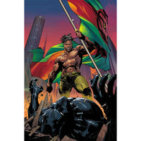 Black Panther #15 (cover b)