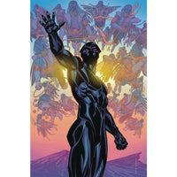 Black Panther #168